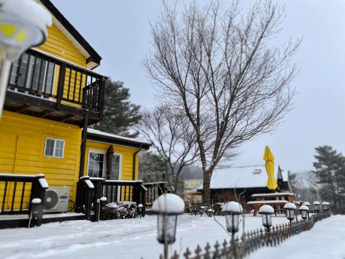 Honey Bear Pension 平昌 外观 照片