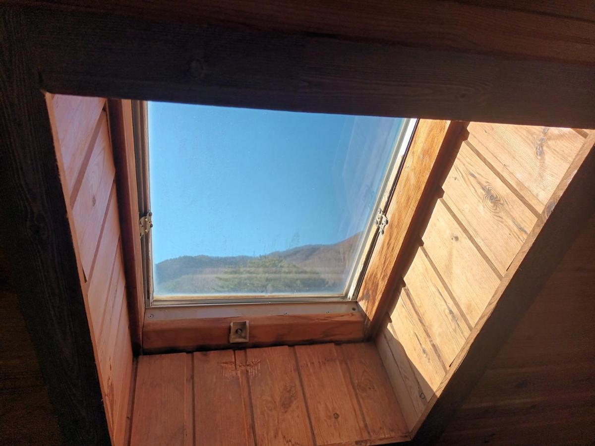 Honey Bear Pension 平昌 外观 照片