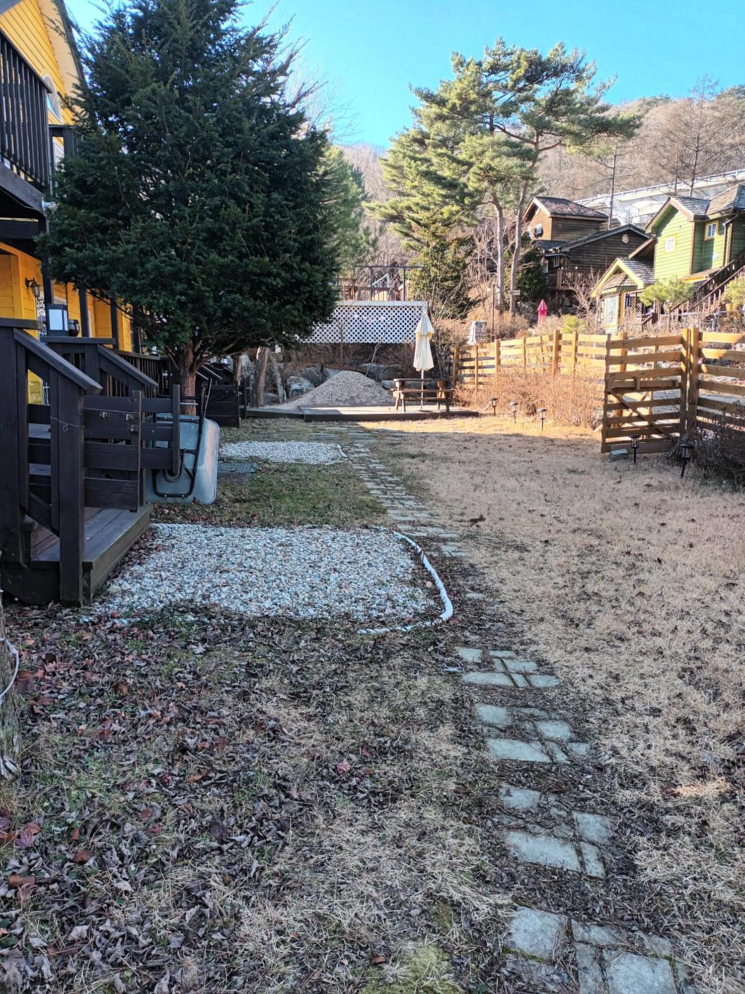 Honey Bear Pension 平昌 外观 照片